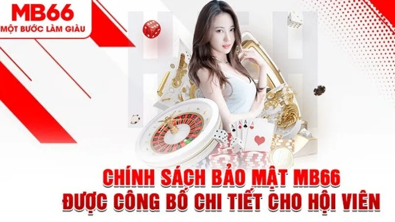 Tầm quan trọng của chính sách bảo mật MB66