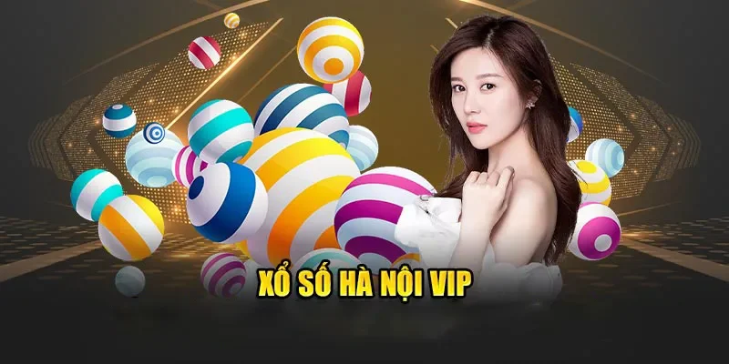 Hà Nội Vip MB66 là gì?