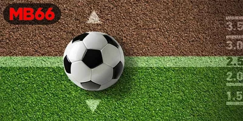 Đôi nét về kèo châu Âu MB66?
