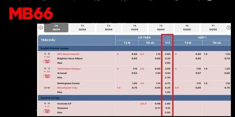 Đôi nét về kèo châu Âu MB66?